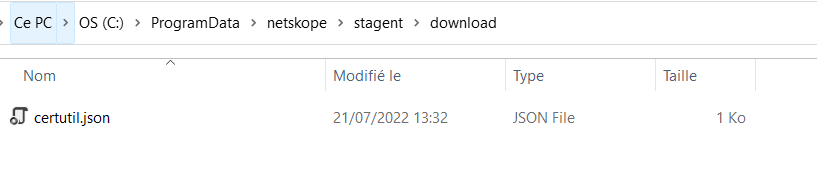 Certutil JSON file